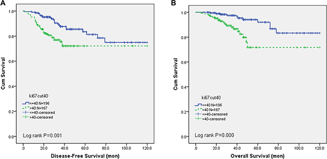 Disease-free survival and overall survival by Ki-67 expression level.