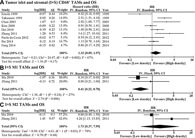 Forest plot of HR for TAM density in the tumor islet and stroma (I+S) and overall survival (OS).