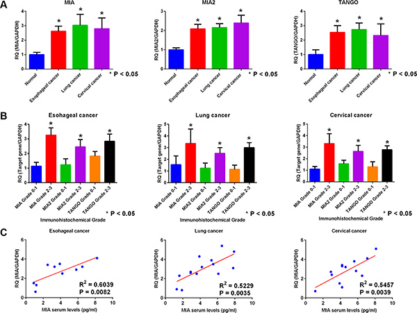 Gene expression and secretion of the MIA gene family in esophageal, lung, and cervical cancer.