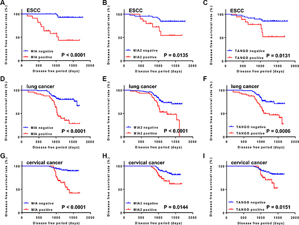 Disease free survival curves of cancer patients, as calculated by Kaplan&#x2013;Meier method.