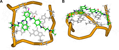 Top (A) and side (B) views of the docking structure of the complex between QPB-15e and c-myc G-quadruplex DNA.