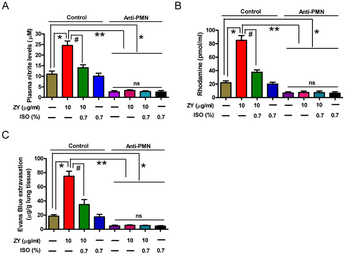 Treatment with anti-PMN antibody reduces zymosan-enhanced plasma NO/ONOO