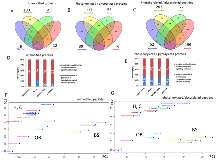 Mass spectrometry-based proteomics of proteins and post-translational modified proteins.