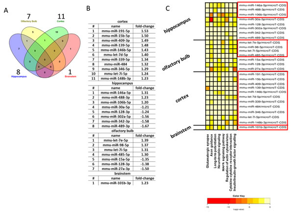 Analysis of neurological miRNAs in the brain regions.
