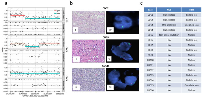 CDKN2A losses in CDC.