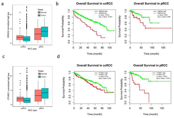 Overall poor survival in RCC patients with overexpression of