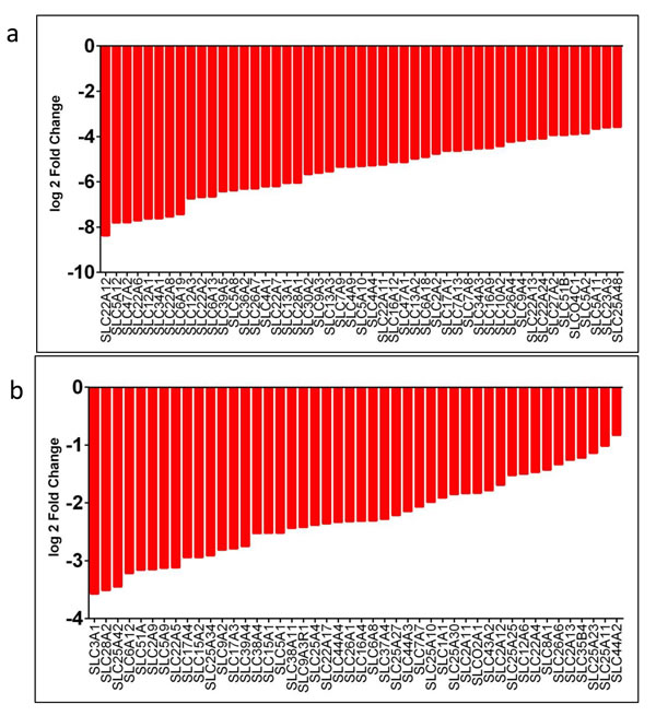 SLC family genes downregulated in CDC tumors compared to non-tumor kidney.