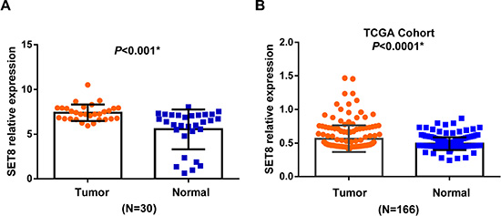 The mRNA expression of SET8 in breast cancer tissues and paired normal tissues.