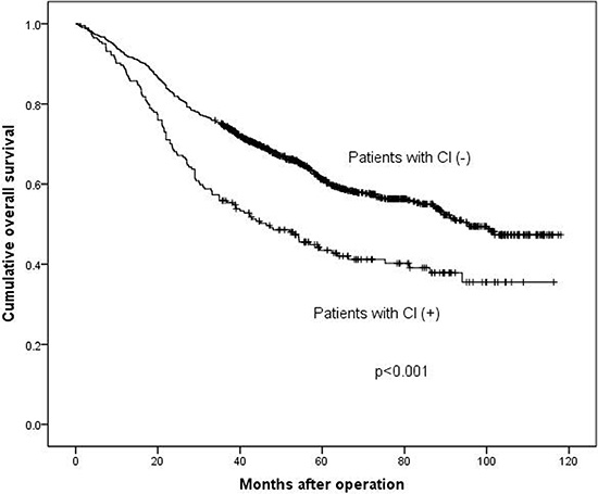 Survival analysis between patients with CI (+) and CI (&#x2212;).