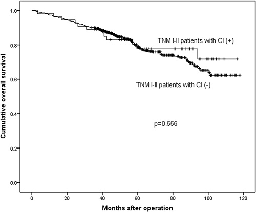 Survival analysis between TNM I&#x2013;II stage patients with CI (+) and CI (&#x2212;).