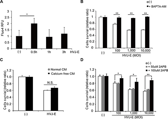 Effects of the increase in cytoplasmic Ca2+ on HVJ-E-induced cell death.