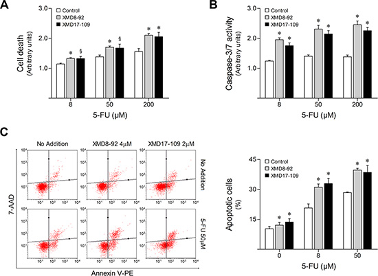 ERK5 pharmacological inhibition increases HCT116 cell sensitivity to 5-FU.