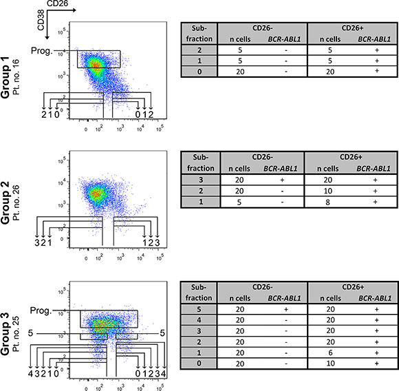 RT-PCR analysis of FACS-purified subfractions from the CD45+34+ cell compartment.