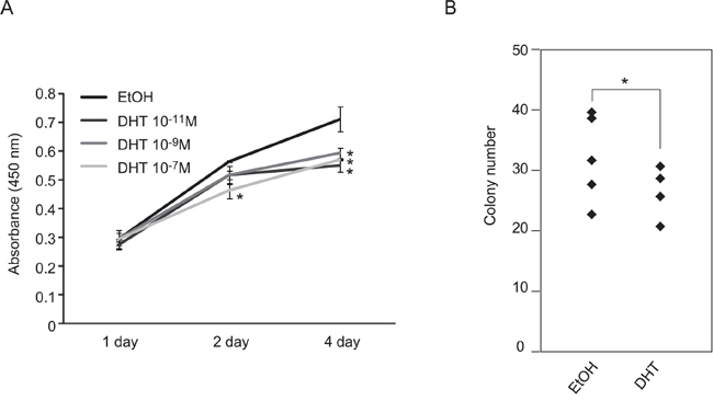 Suppression of TCam-2 cell proliferation by DHT treatment.