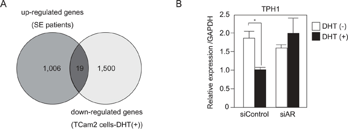 TPH1 was highly expressed in SE patients and down-regulated by DHT in SE cells.