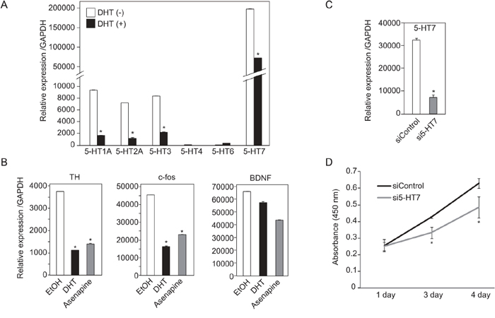 Expression and functions of 5-HTs in TCam-2 cells.