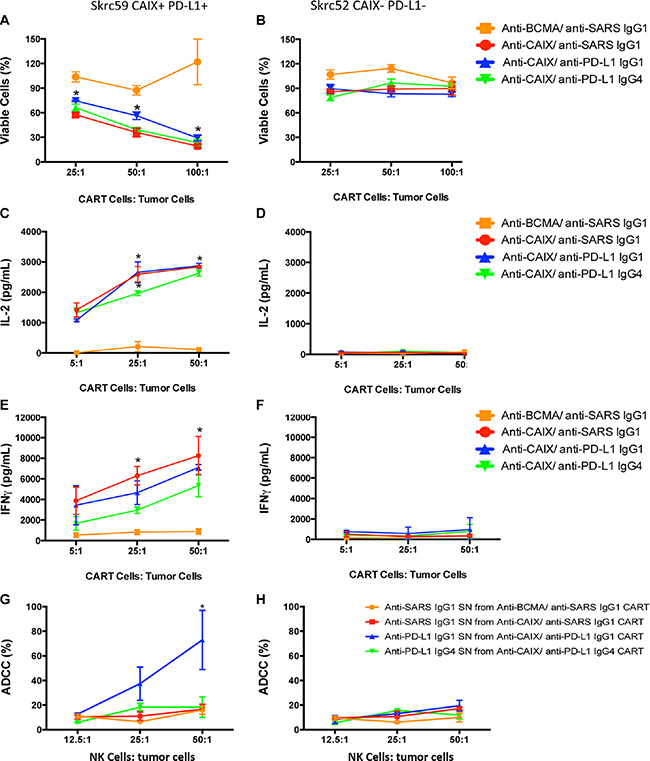 CAR T cell effector function.