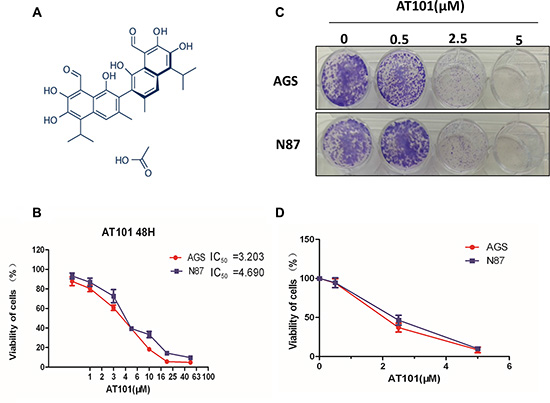 AT101, as an inhibitor, contributes to gastric cancer cells suppression in vitro.