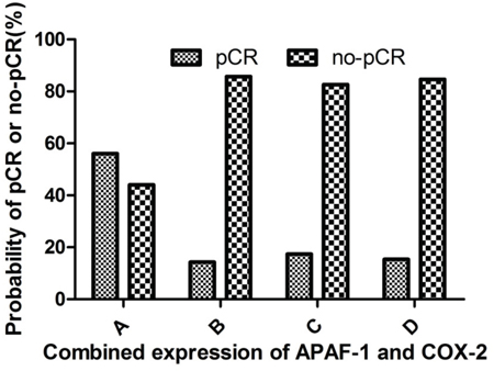 Correlation between the pCR and combined expression of APAF-1 and COX-2 genes.