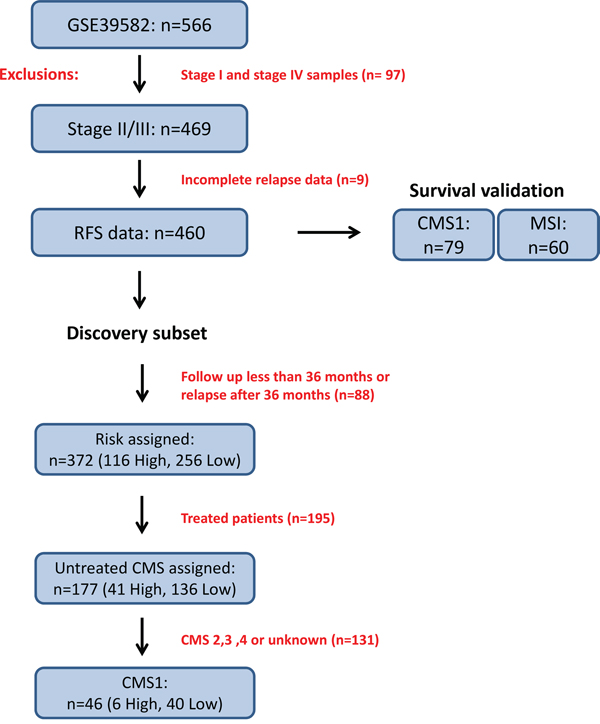 Study overview of discovery and survival validation subsets.