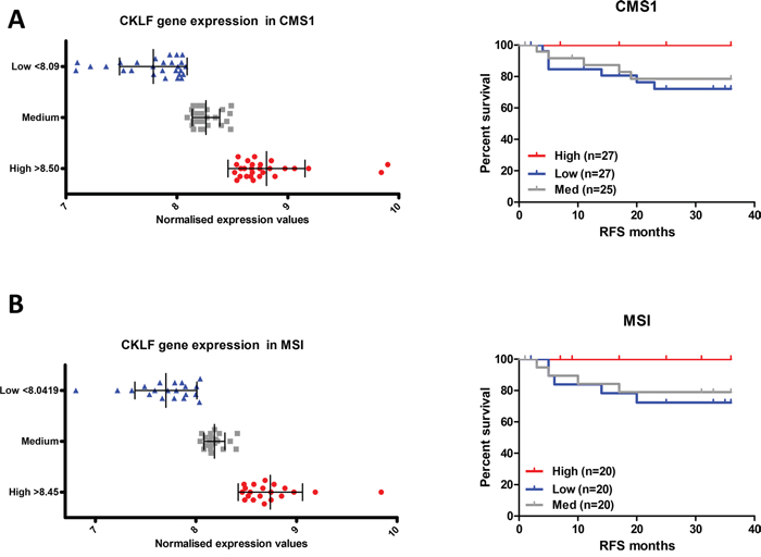CKLF gene expression is associated with prognosis only in CMS1.