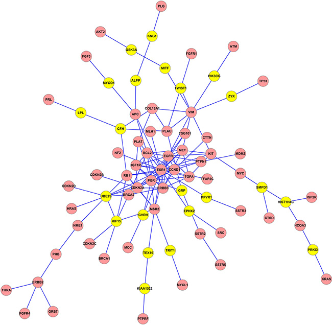 The subnetwork extracted by not-weighted Klein-Ravi algorithm.