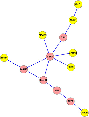 The smallest subnetwork connecting seven key genes derived from the common network.