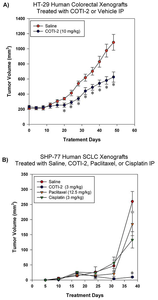 COTI-2 treatment inhibits human HT-29 and SHP-77 xenograft growth.