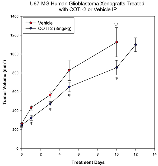 COTI-2 treatment delays U87-MG xenograft growth.