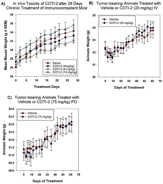 COTI-2 demonstrates a safe toxicity profile in vivo.