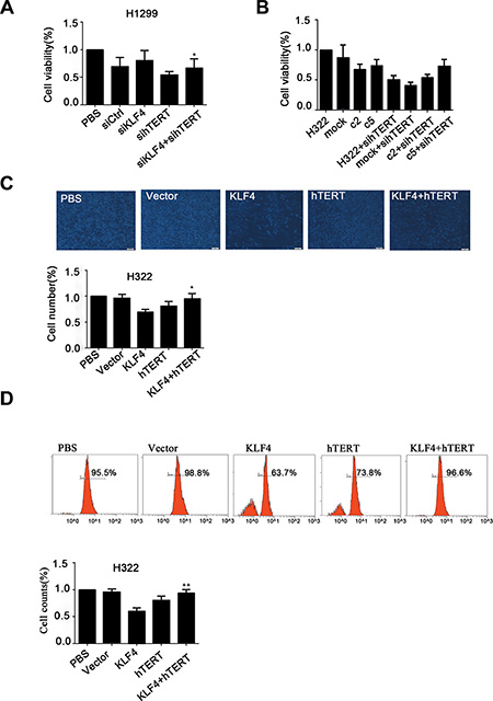 hTERT up-regulation rescued KLF4-mediated inhibition of cancer cell growth.