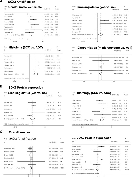 Forest plot for associations of SOX2 with clinicopathological features and overall survival in NSCLC.