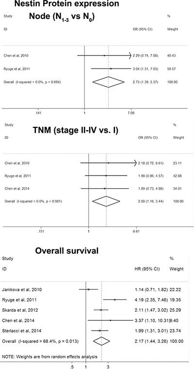 Forest plot for associations of Nestin with clinicopathological features and overall survival in NSCLC.