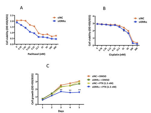 Effect of ERR&#x3b1; knockdown on the sensitivity of endometrial cancer cells to anti-cancer drugs.
