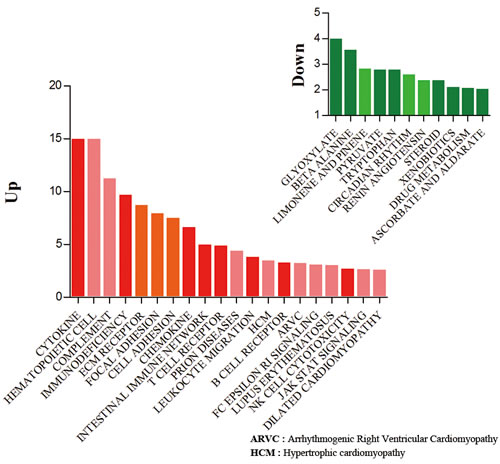 Gene set enrichment analysis of up- and down-regulated genes.