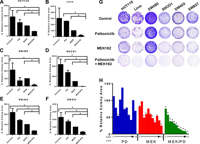 Combination of MEK and CDK4/6 inhibitors markedly attenuates cell growth in vitro in a panel of KRAS mutant CRC cell lines.