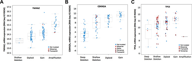 mRNA level was consistent with gene change.