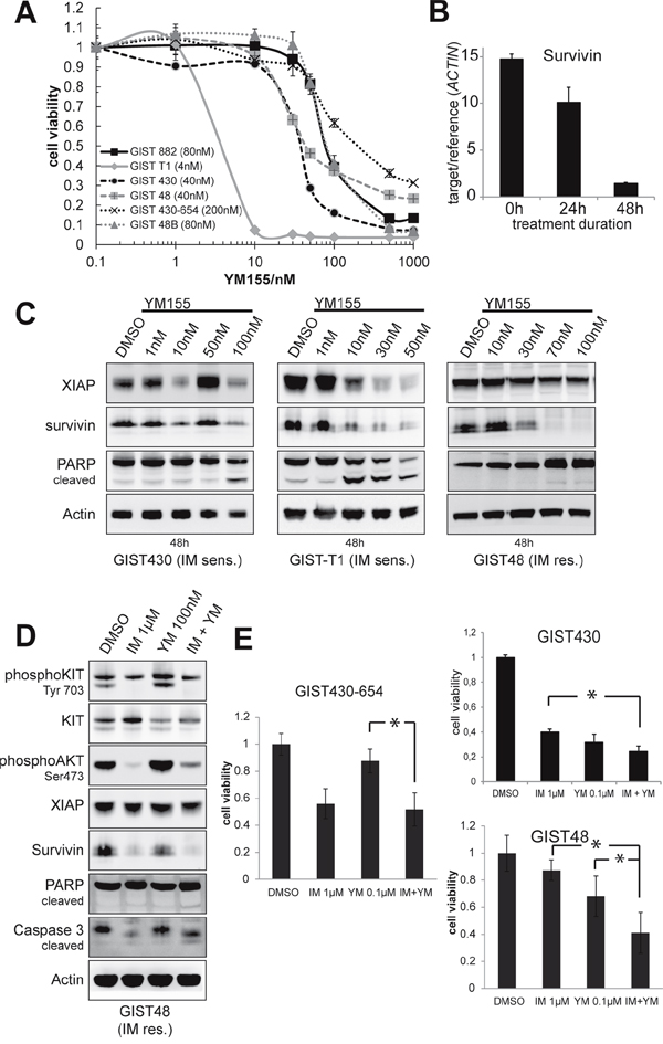 Evaluation of survivin transcriptional repressor YM155.