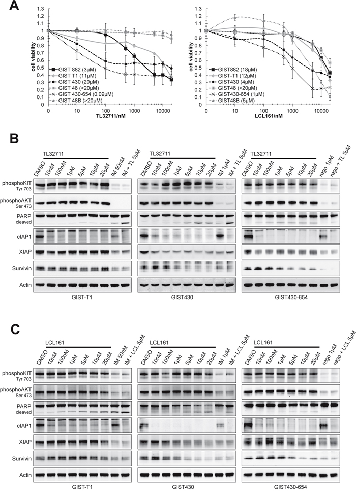 SMAC mimetics TL32711 and LCL161 downregulate XIAP and show agonistic proapoptotic effects when combined with imatinib.