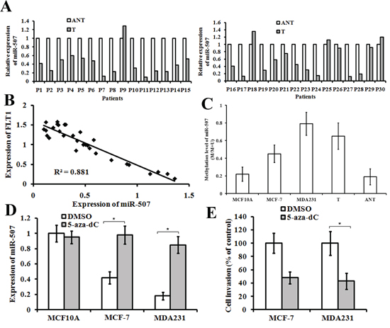 The expression of miR-507 and Flt-1 in breast-cancer tissues, and the function of miR-507.