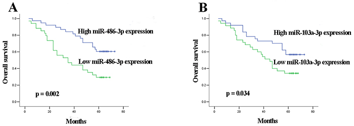 Kaplan-Meier curves for OS according to serum levels of A. miR-486-3p, B. miR-103a-3p in MIBC patients in validation set.