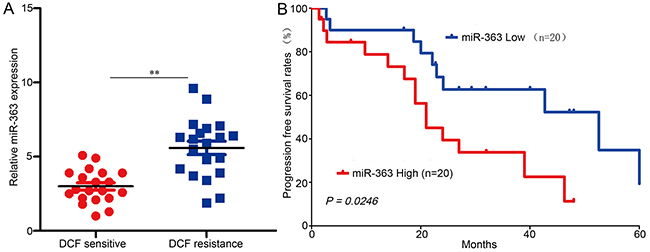 miR-363 induces DCF resistance in gastric cancer patients.