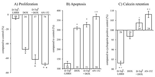 The effect of the treatment with AN-152 (AEZS-108) on the proliferation (A), apoptosis (B) and calcein retention (C) of U-87 MG cells.