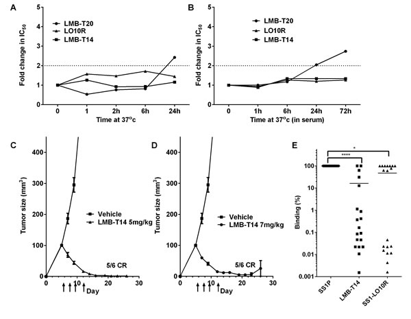 Stability, anti-tumor activity and antigenicity of LMB-T14.