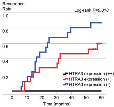 Postoperative recurrence curves of patients in the three groups, stratified according to HTRA3 protein expression.