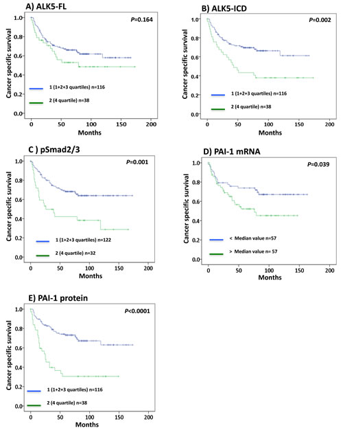 Kaplan-Meier plots showing cancer specific survival curves of