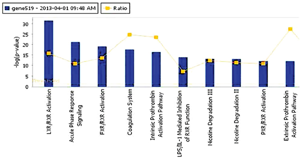 The top 10 canonical pathways that differed in GBC and normal gallbladder tissue specimens.