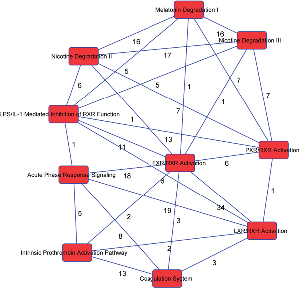 The interaction network analysis of key pathways in GBC.