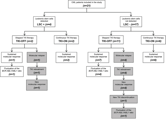 Relation between the detection of marrow leukemic stem cells and the clinical outcome according to therapy discontinuation.