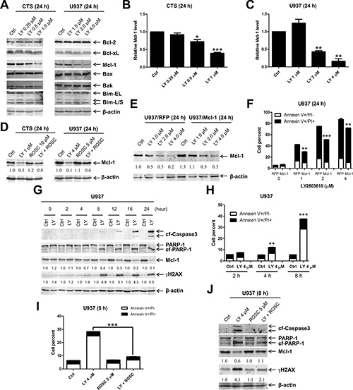 LY2603618 treatment results in decreased expression of Mcl-1.